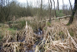 DSC03289