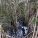 DSC03290