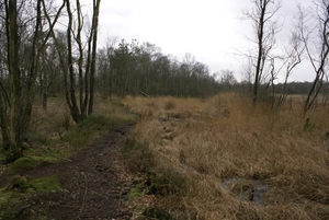 DSC03294