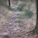 DSC03302