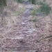 DSC03303_2