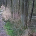 DSC03306