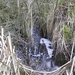 DSC03310