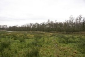 DSC03317