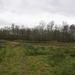 DSC03318