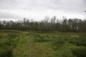DSC03318
