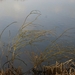DSC04446