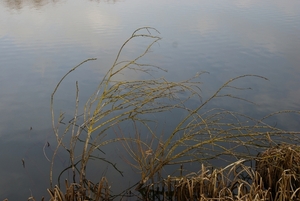 DSC04446