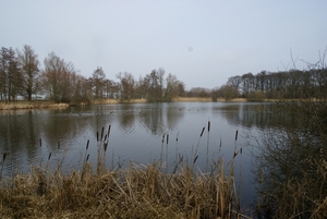 DSC04455