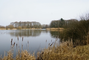 DSC04457