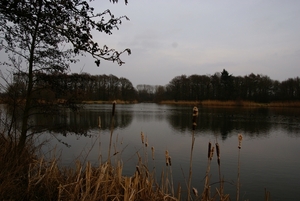 DSC04482