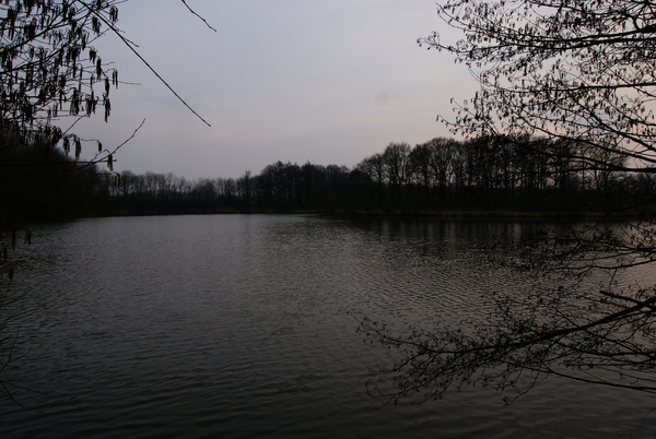 DSC04485