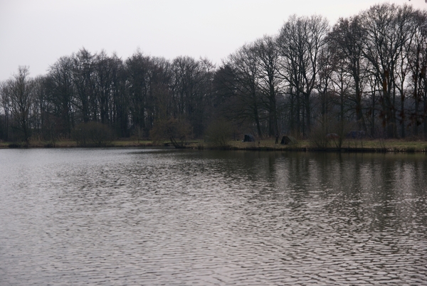 DSC04486