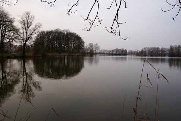 DSC04491