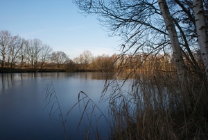 DSC02213