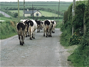 Landelijk Ierland