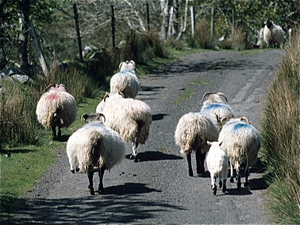 Landelijk Ierland