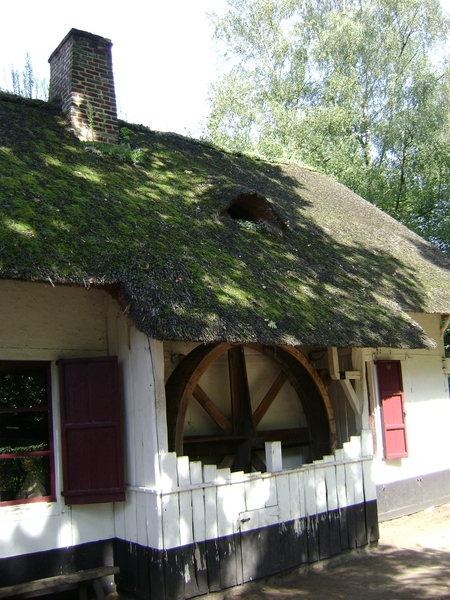 080831 Bokrijk 006