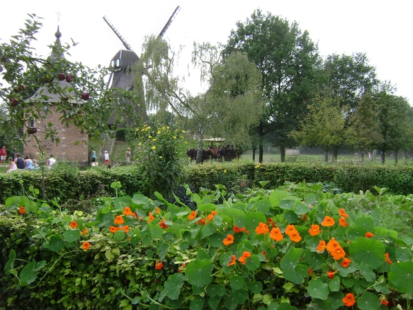 080831 Bokrijk 031