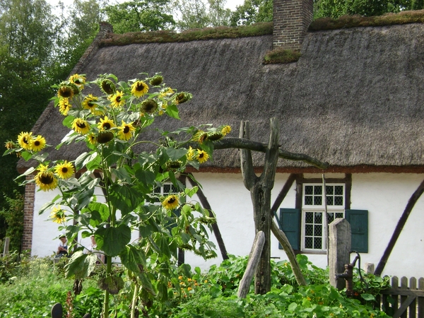 080831 Bokrijk 041