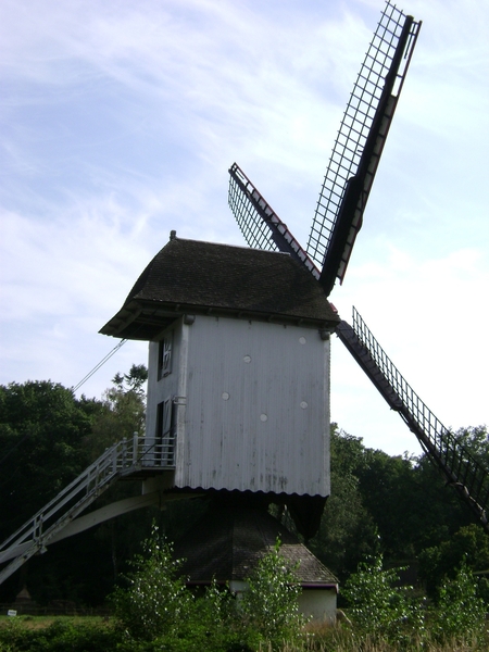 080831 Bokrijk 044
