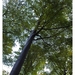 Nazomer in Buggenhout bos