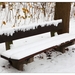 Winter in Verloren bos Lokeren
