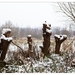 Winter in Verloren bos Lokeren