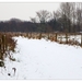 Winter in Verloren bos Lokeren