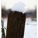 Winter in Verloren bos Lokeren