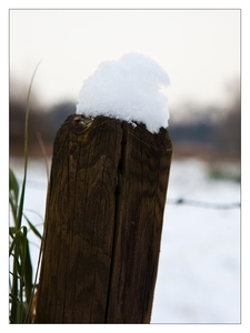 Winter in Verloren bos Lokeren