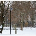Winter in Verloren bos Lokeren