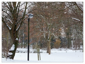 Winter in Verloren bos Lokeren