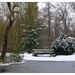 Winter in Verloren bos Lokeren