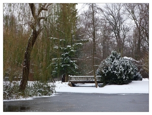 Winter in Verloren bos Lokeren