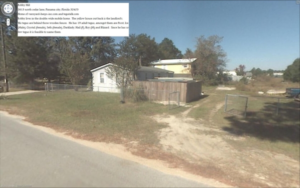 VARNYARD, TEGUS, BOBBY, HILL, TEGU, HERPS, HERP, TEGUTALK.COM