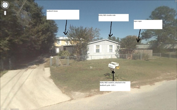 VARNYARD, TEGUS, BOBBY, HILL, TEGU, HERPS, HERP, TEGUTALK.COM