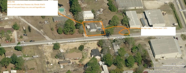 VARNYARD, TEGUS, BOBBY, HILL, TEGU, HERPS, HERP, TEGUTALK.COM