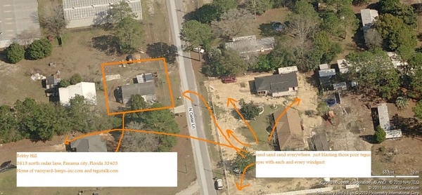 VARNYARD, TEGUS, BOBBY, HILL, TEGU, HERPS, HERP, TEGUTALK.COM