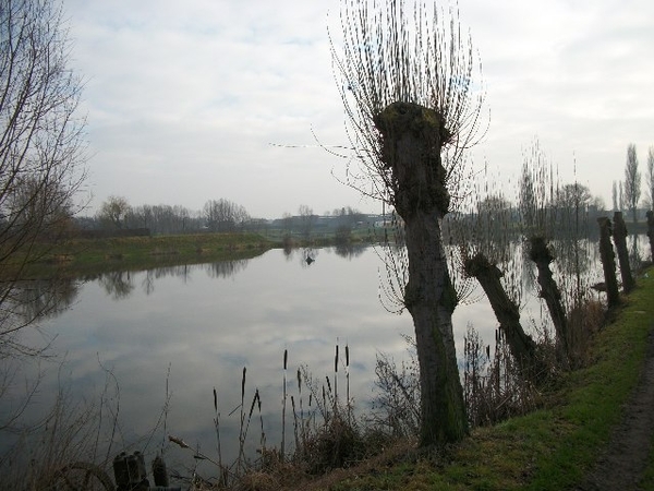 039-Populierenhof-Lijnvissers-Desselgem