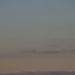 IMGP3437