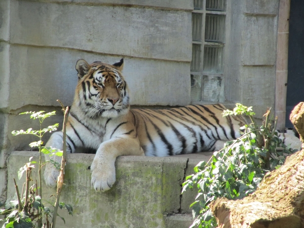 Zoo