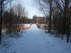 100_2906