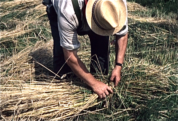 vlcsnap-2011-01-27-16h31m19s238