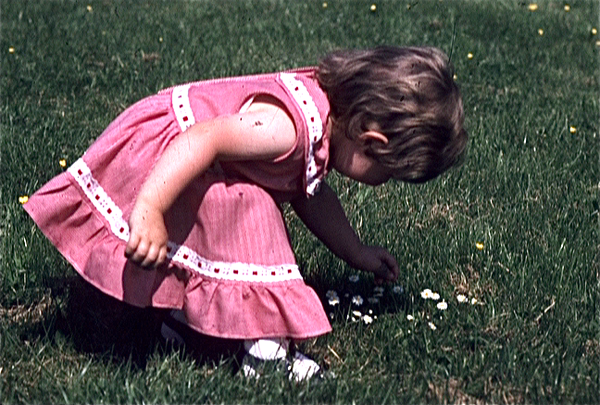 vlcsnap-2011-01-27-16h31m27s56