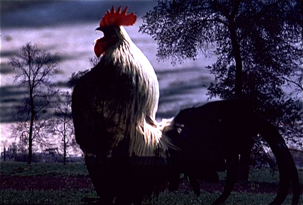 vlcsnap-2011-01-27-16h33m16s126