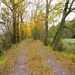 Bossen Olterterp-Beesterzaag-Friesland