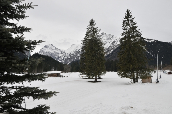 PERTISAU 000 AA (132)