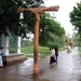 Anuradhapura - Op weg naar de heilige Bo-boom