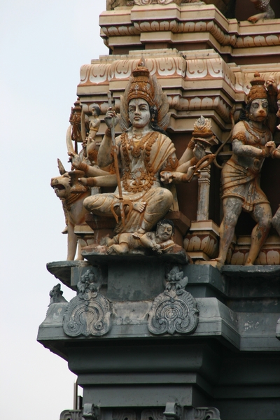 SriLanka503
